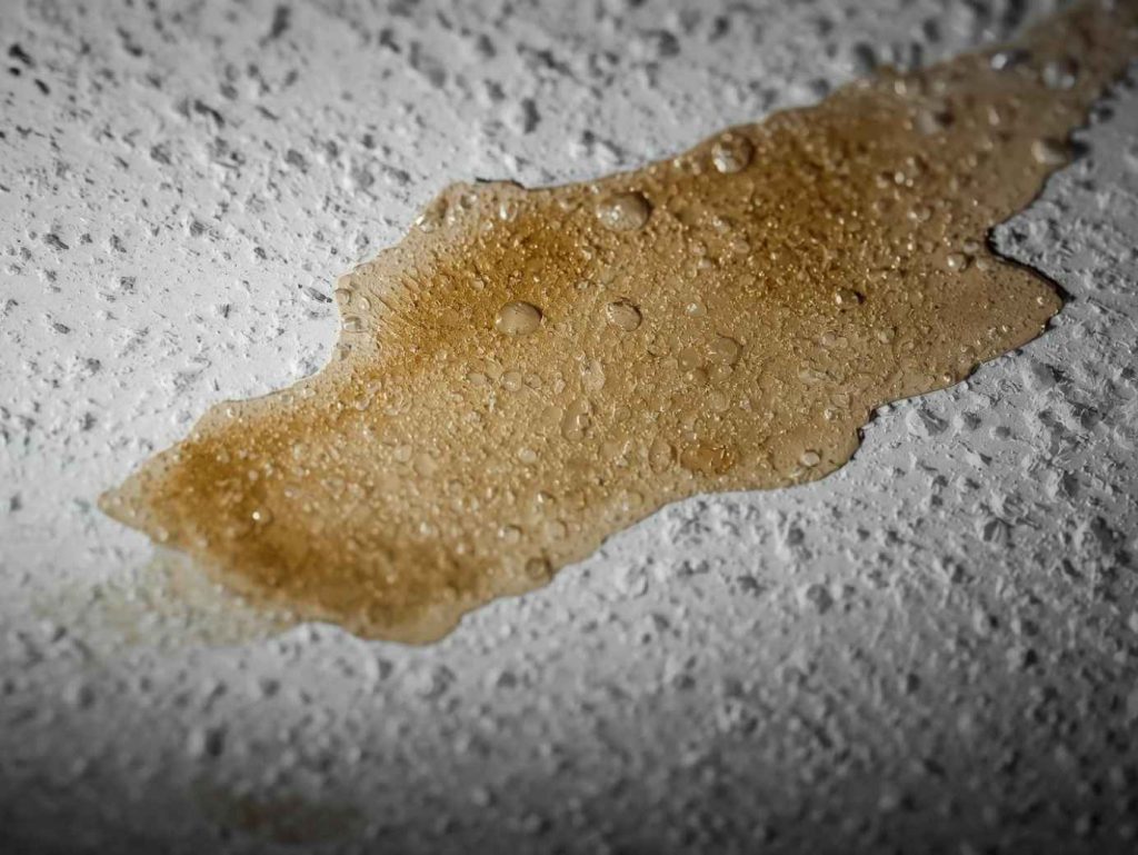 Winter Roof Leaks: What Causes Them and How to Stop Them